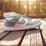 [A10-6] Nike Sb Gray White